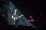 Gilmour 160628 (c) Andreas Mueller 335